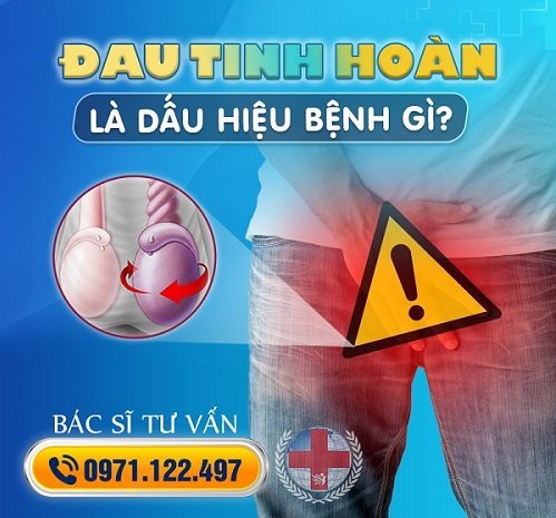 Địa chỉ chữa đau tinh hoàn